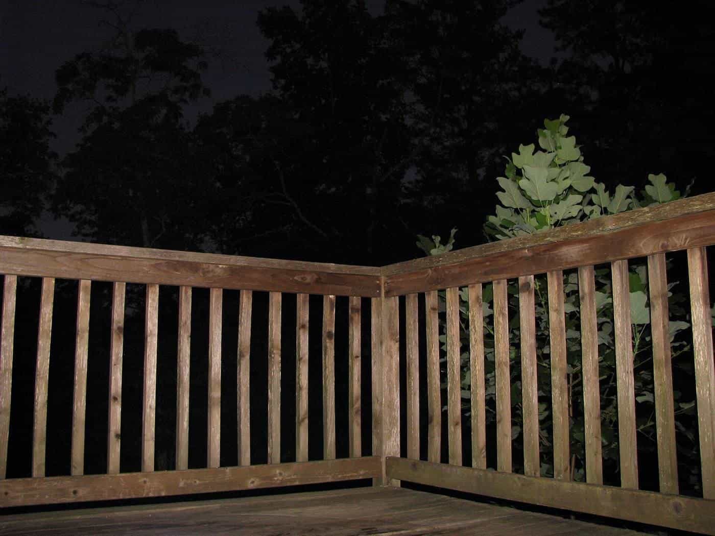 Timber deck railing at dusk with trees behind