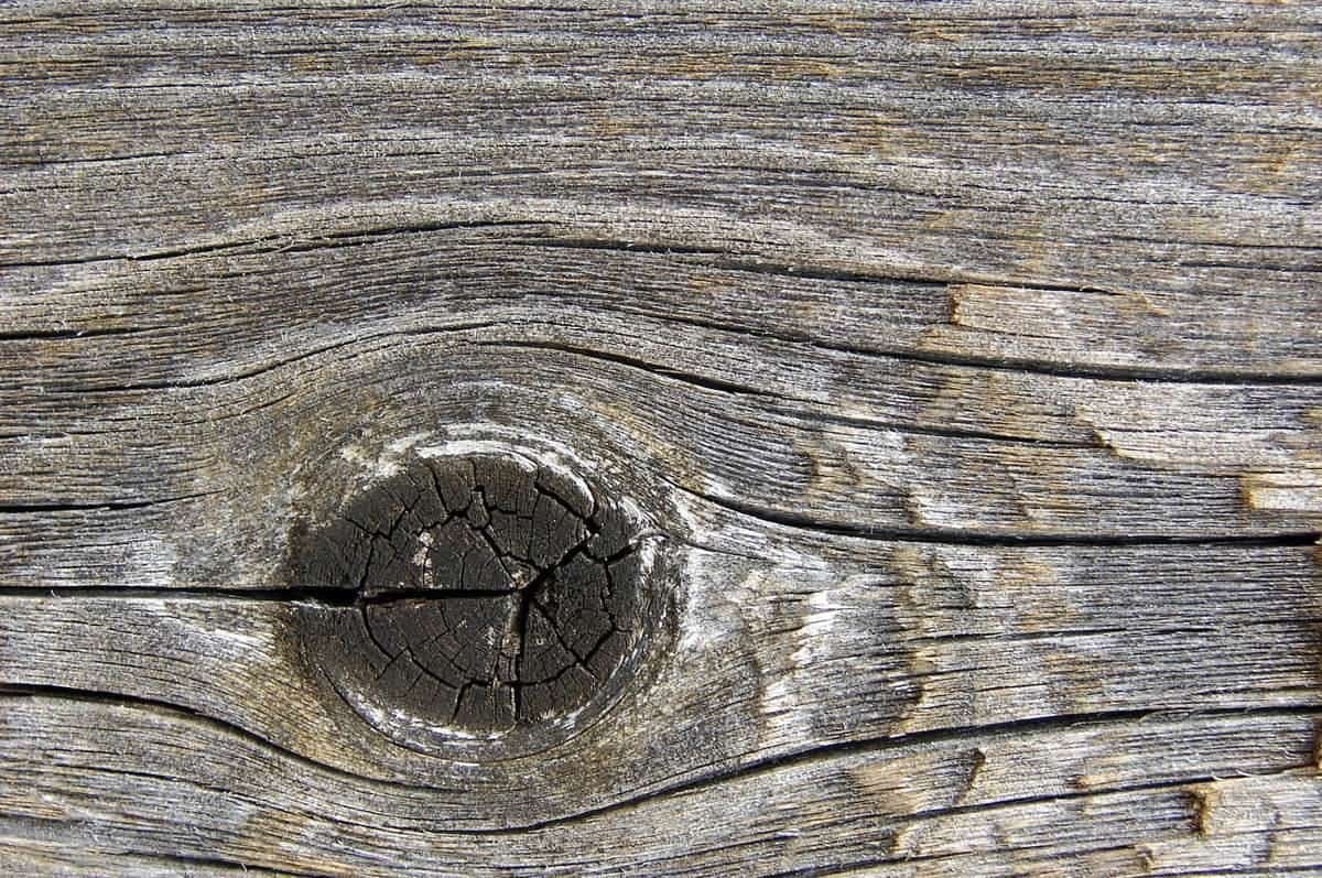 Weathered timber deck boards with a large knot